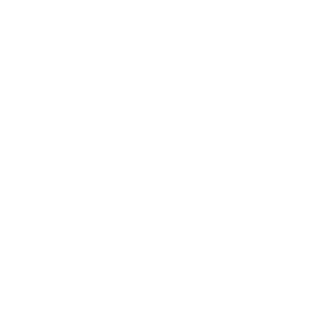 Interactive Playground